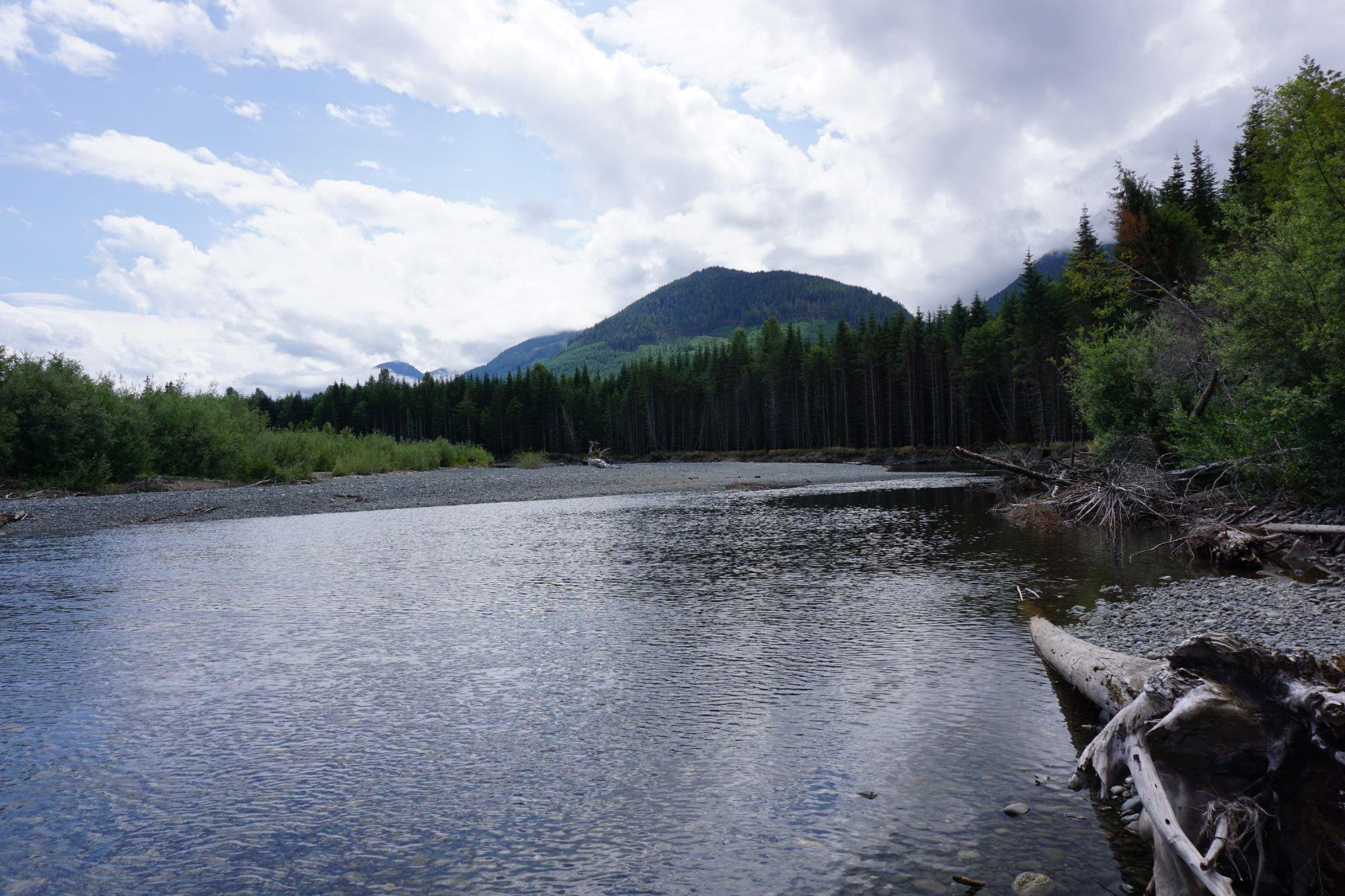 carousel-hero-element image-0