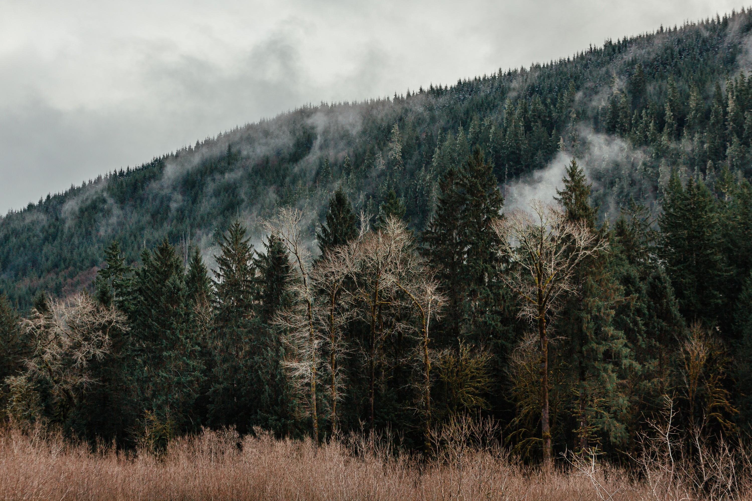 A Photographer's Review of Tom's Backyard - A Remarkable  day