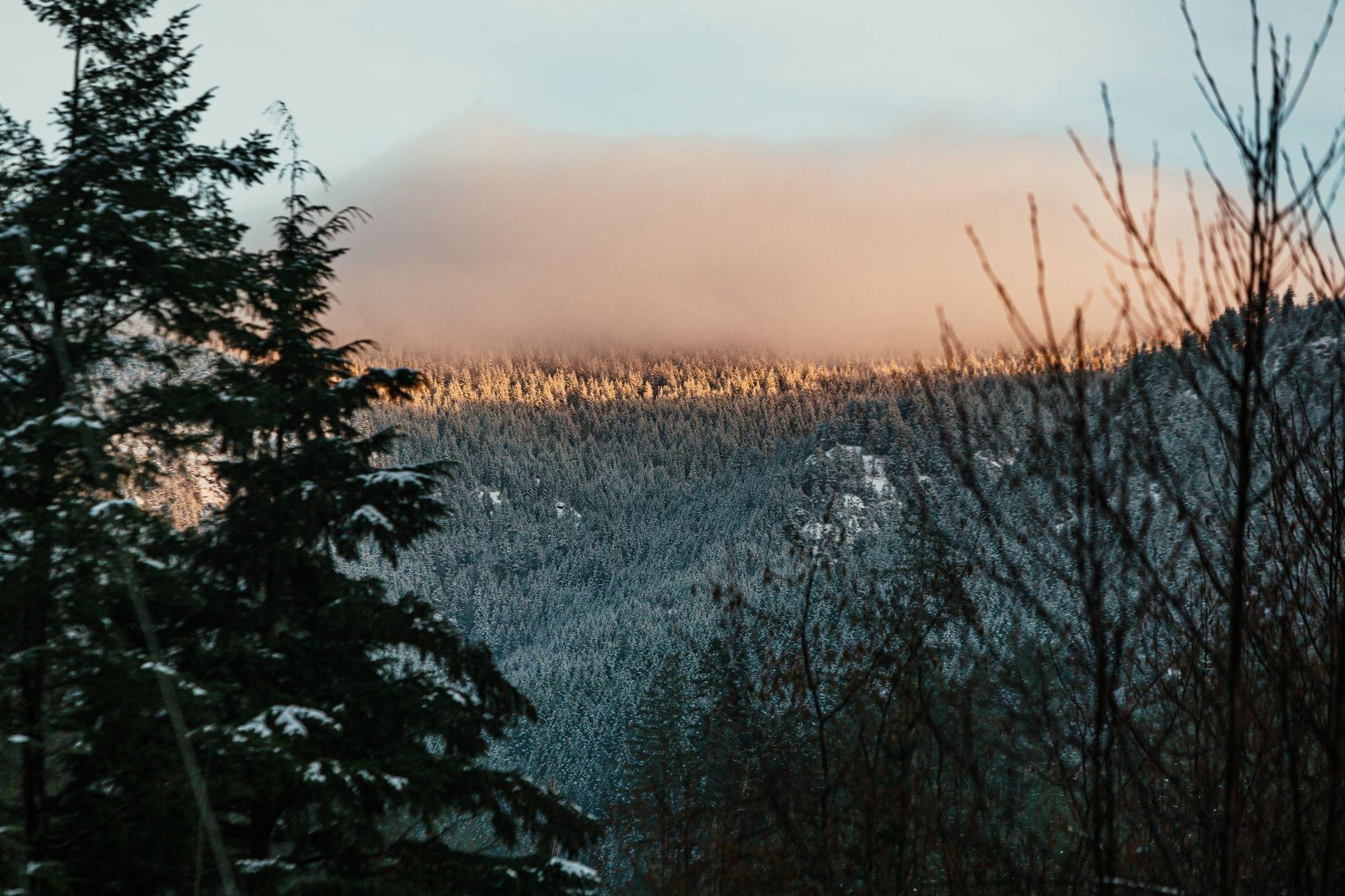 recomment-pack-image-0