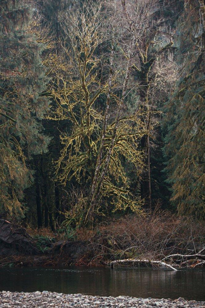 mobile - carousel-hero-element image-6